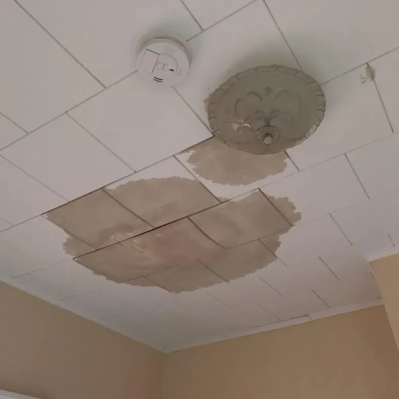 Ceiling Water Damage Repair in Franklin, WI
