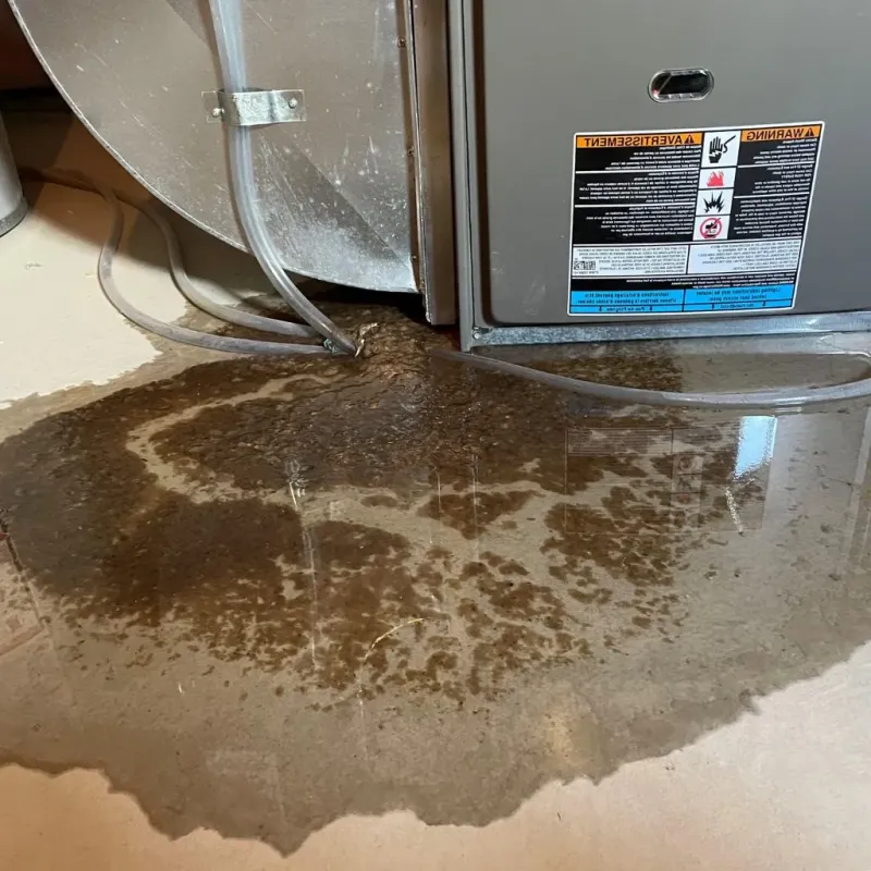 Pipe Burst and Leak Restoration in Franklin, WI